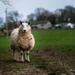 污污污污污污www在线观看:探索网络世界中的隐秘乐趣与精彩内容 5ykib3s