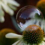 汤姆叔叔的电影院:探索电影背后的故事与情感世界 c0zym52z