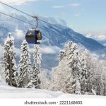 漫猫动漫免费视频素材:丰富多样的创作灵感与资源分享平台 coxy6r