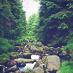 漫画大全免费阅读网站:畅享海量漫画资源,尽情阅读不花钱! gypt103r