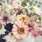 漫画 日本 全彩本子:探索日本漫画中的色彩魅力与艺术风格 ioe0kdpn3