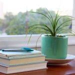 漫画大全 漫画韩国:探索韩国漫画的魅力与精彩故事 iuhao3h