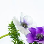 畅享韩国免费无删减漫画,尽情探索精彩故事世界 eez9fit